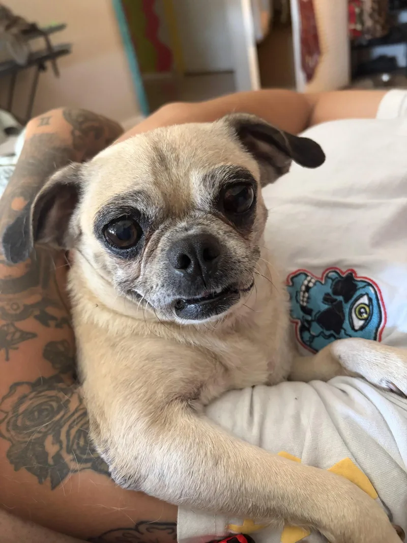 Fiona