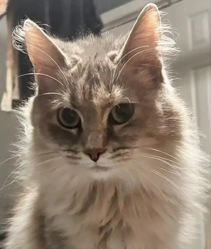 Freya thumbnail 3