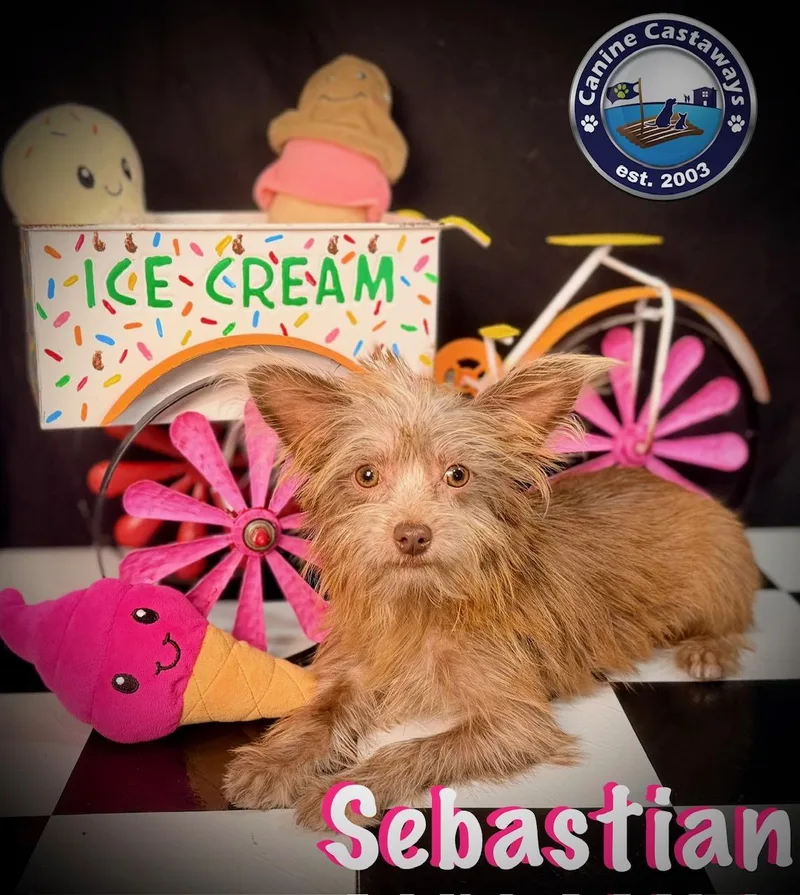 Sebastian