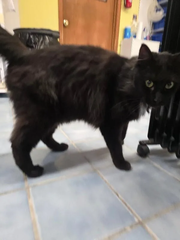 Catrick Swayze thumbnail 2