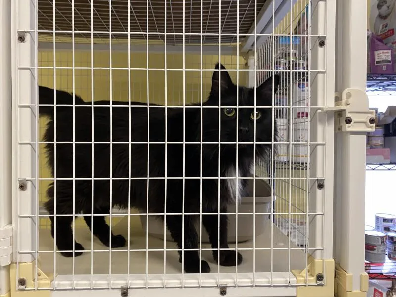 Catrick Swayze thumbnail 3