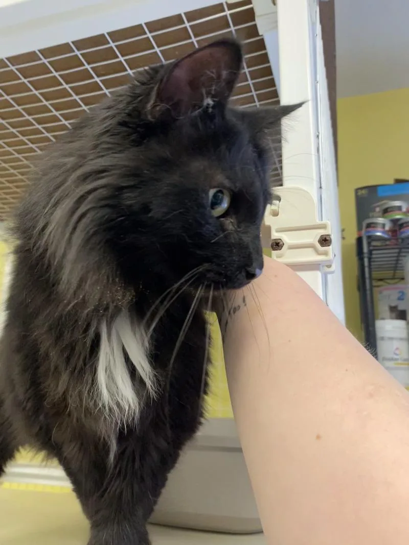 Catrick Swayze thumbnail 5