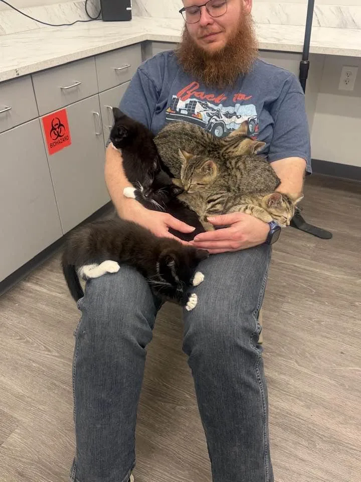 Phillip Carlyle thumbnail 4