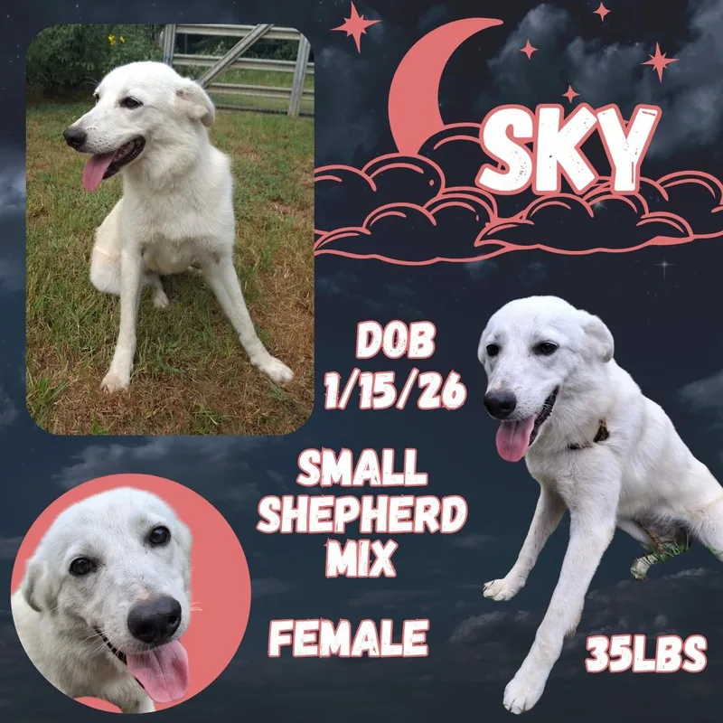 Sky