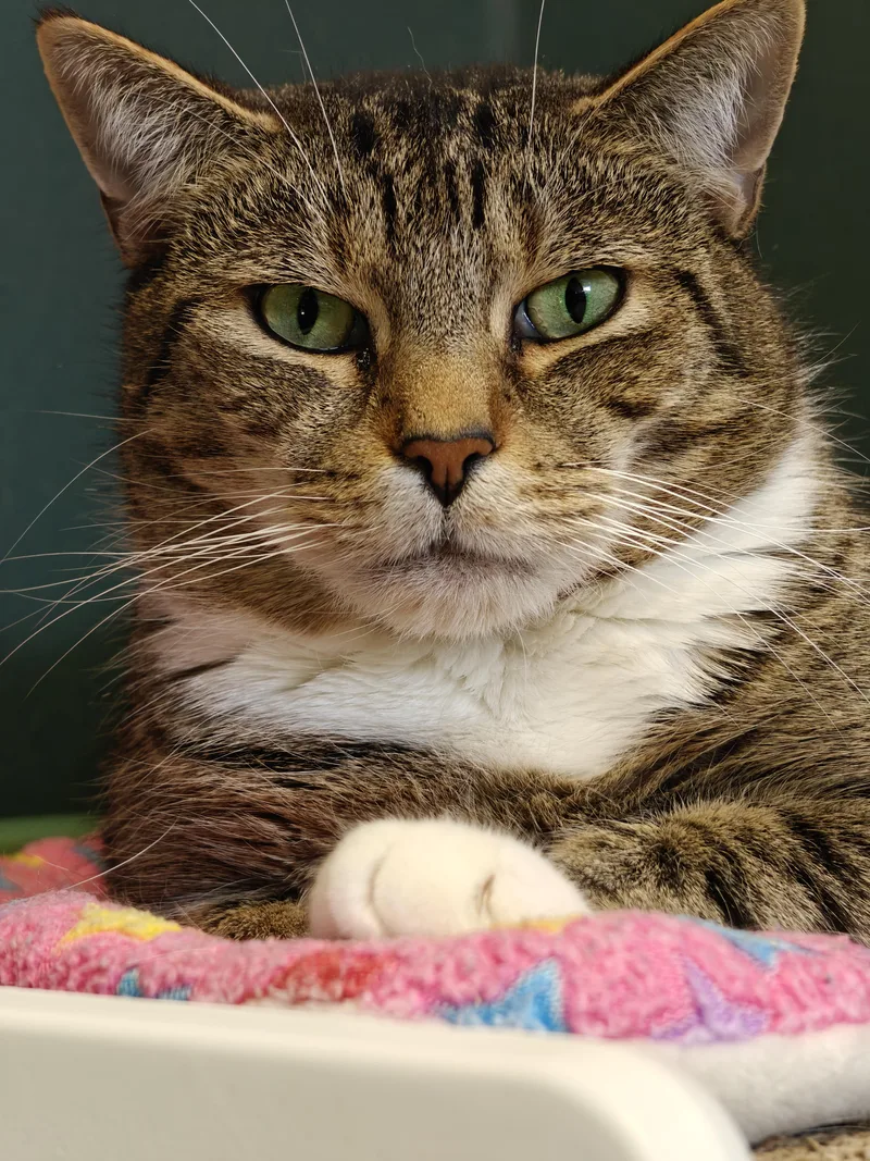 Arnie & Trinity thumbnail 6