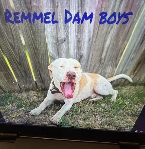 Remmel thumbnail 2