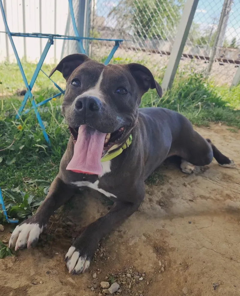 Daisy Leah thumbnail 2