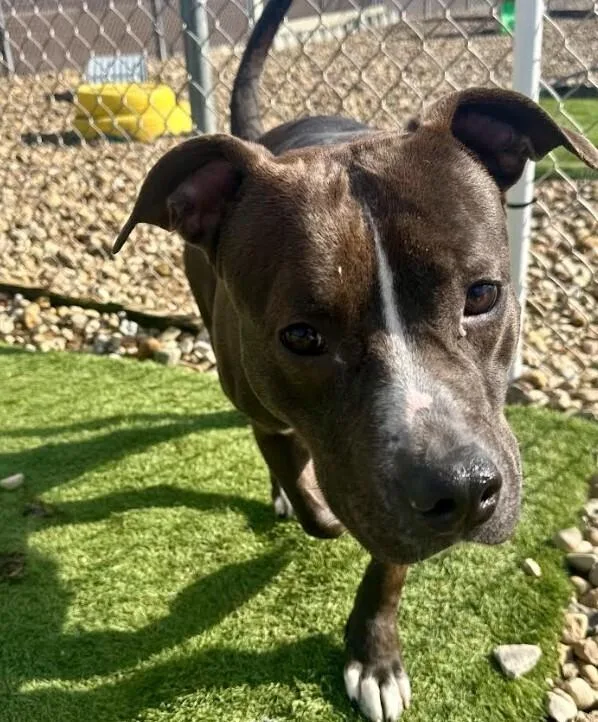 Daisy Leah thumbnail 4