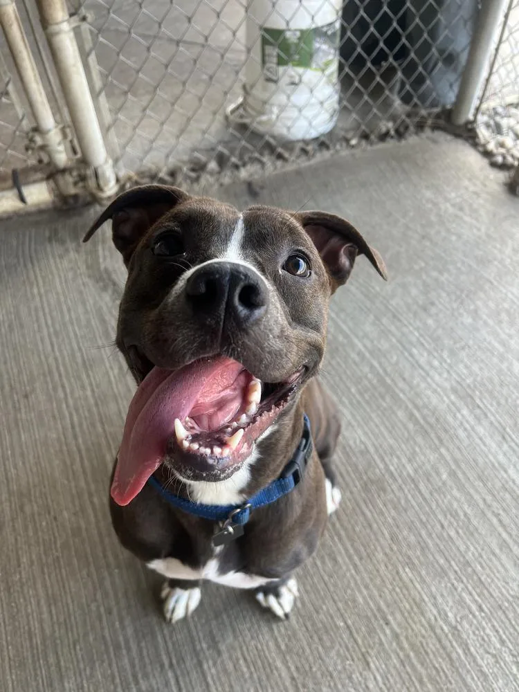 Daisy Leah thumbnail 6