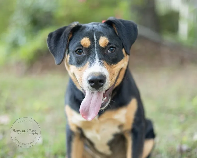 Tucker