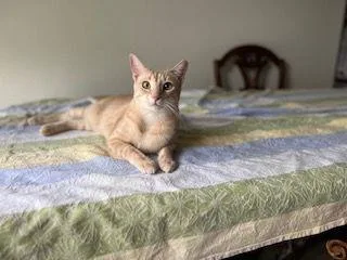 Hermione thumbnail 3