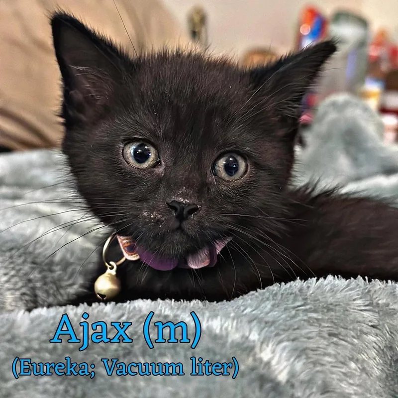 Ajax