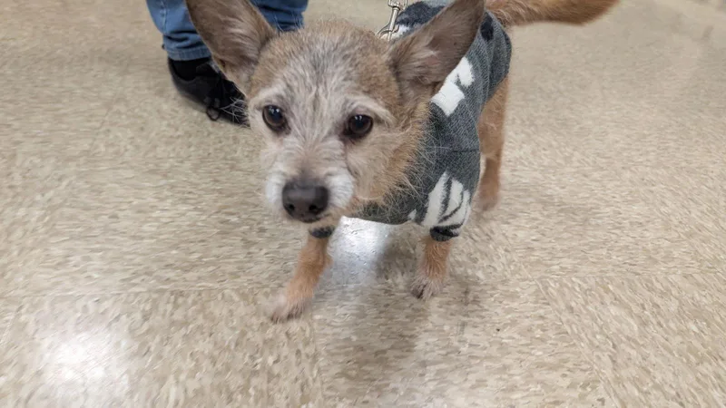 Vin Diesel thumbnail 3