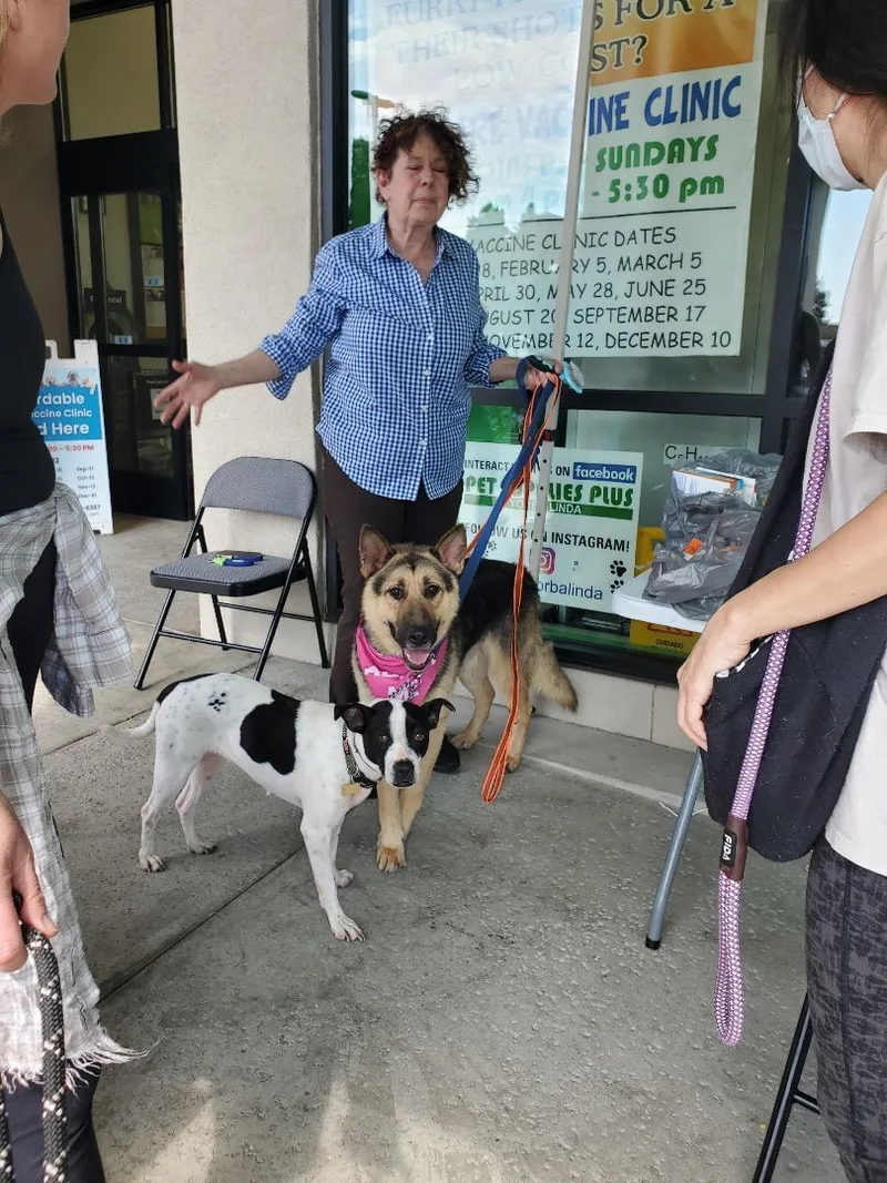 Chance That!! German  thumbnail 2