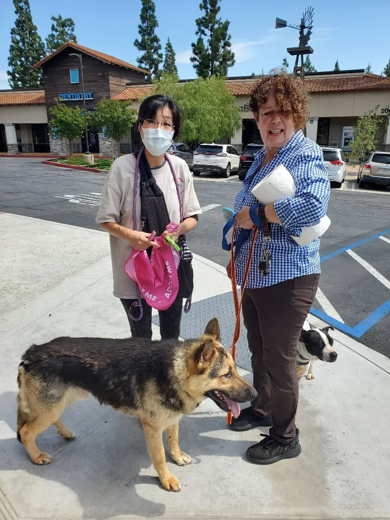 Chance That!! German  thumbnail 5