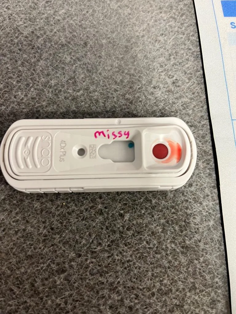 Missy thumbnail 2