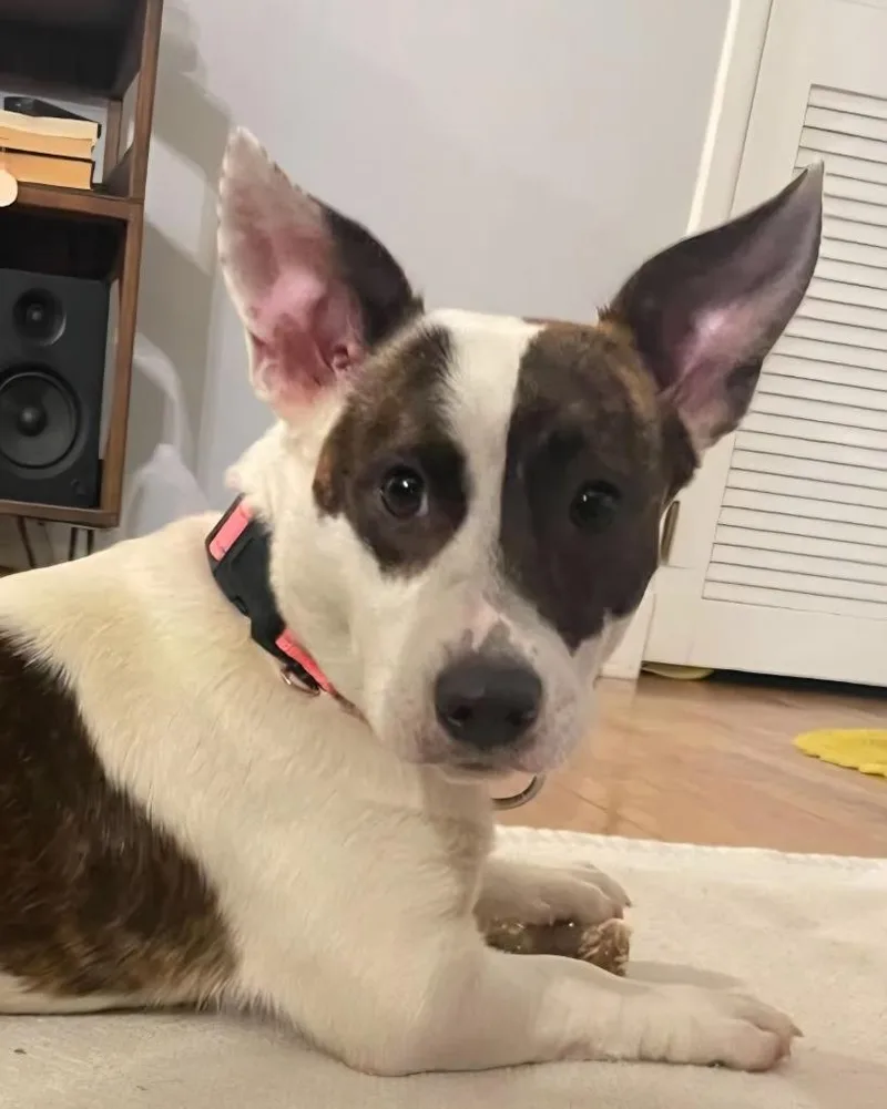Winnie