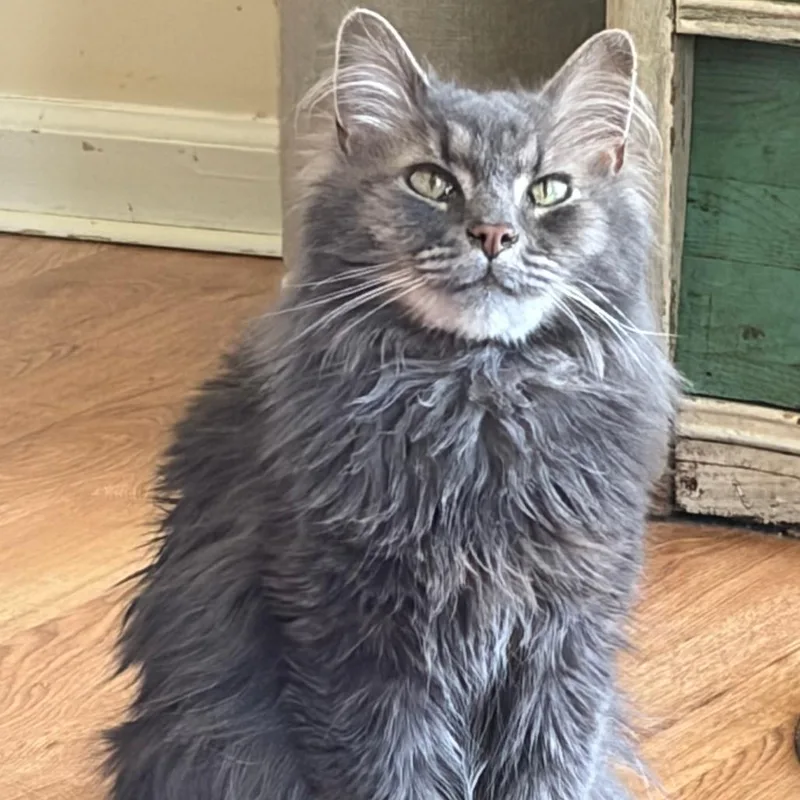 Charlie