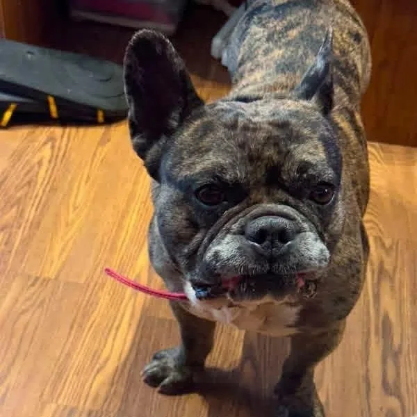Coco