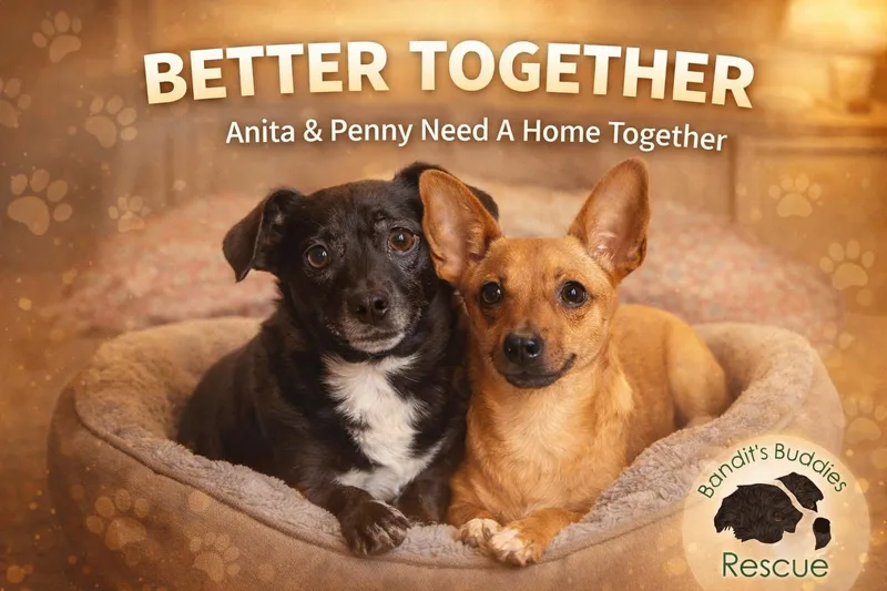 Anita And Penny thumbnail 3