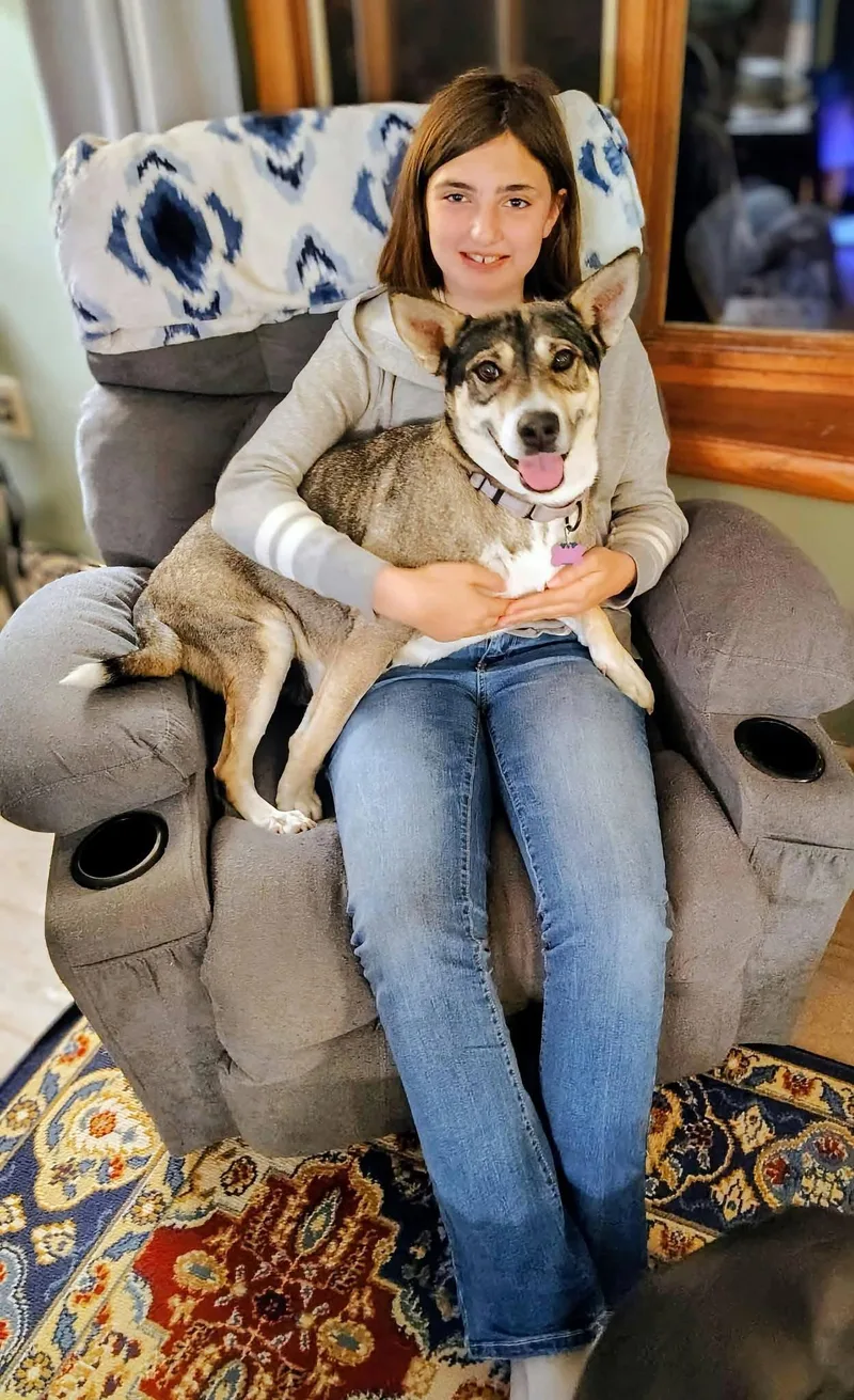 An adult medium-sized female Shepherd dog named Desire for adoption in New London, WI