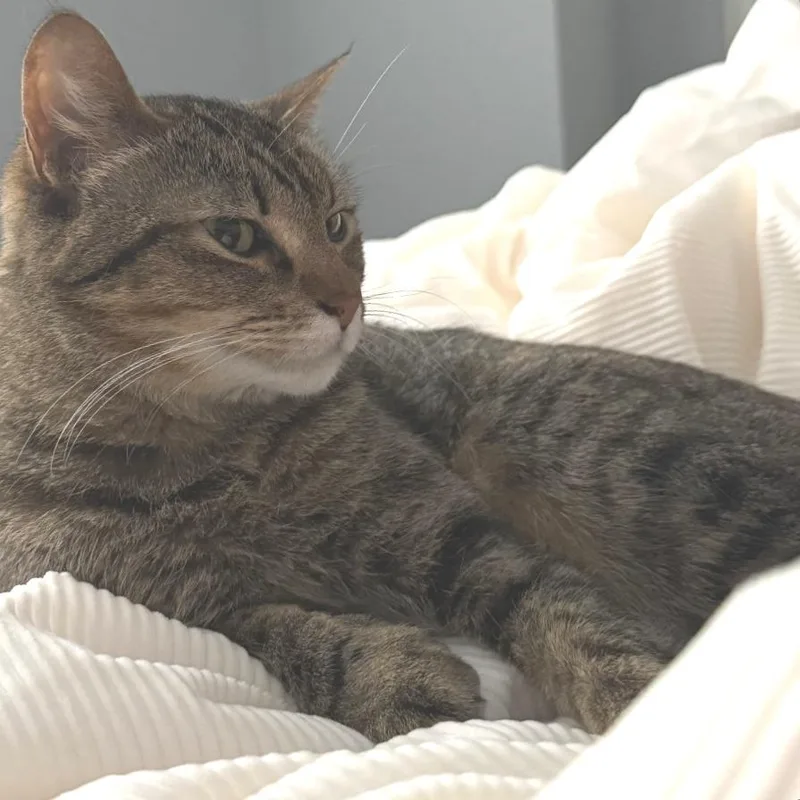 Gwen Tennyson thumbnail 2