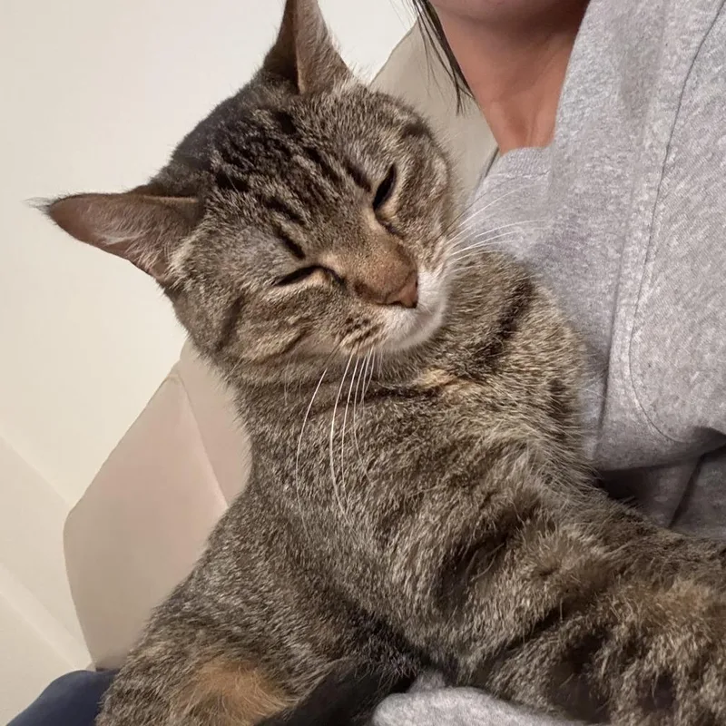 Gwen Tennyson thumbnail 3