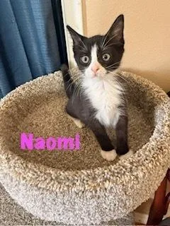 Naomi thumbnail 2