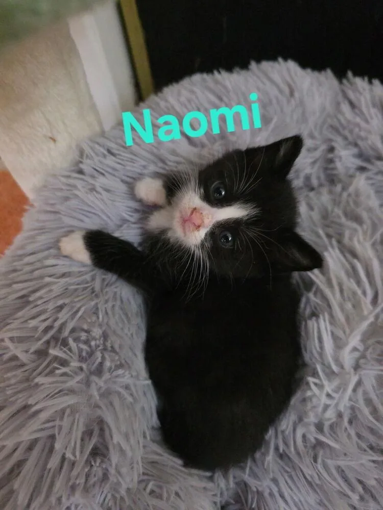 Naomi thumbnail 3