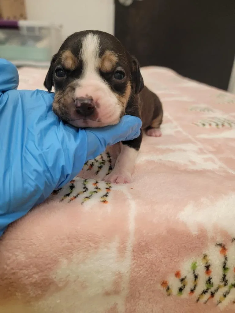 Diane Sawyer thumbnail 2