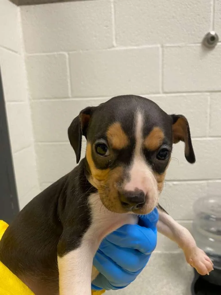 Diane Sawyer thumbnail 3