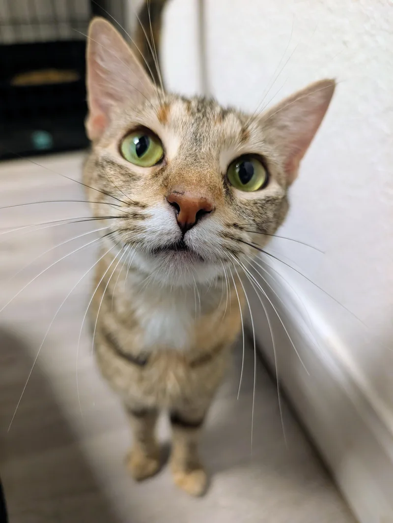 Mélange thumbnail 3