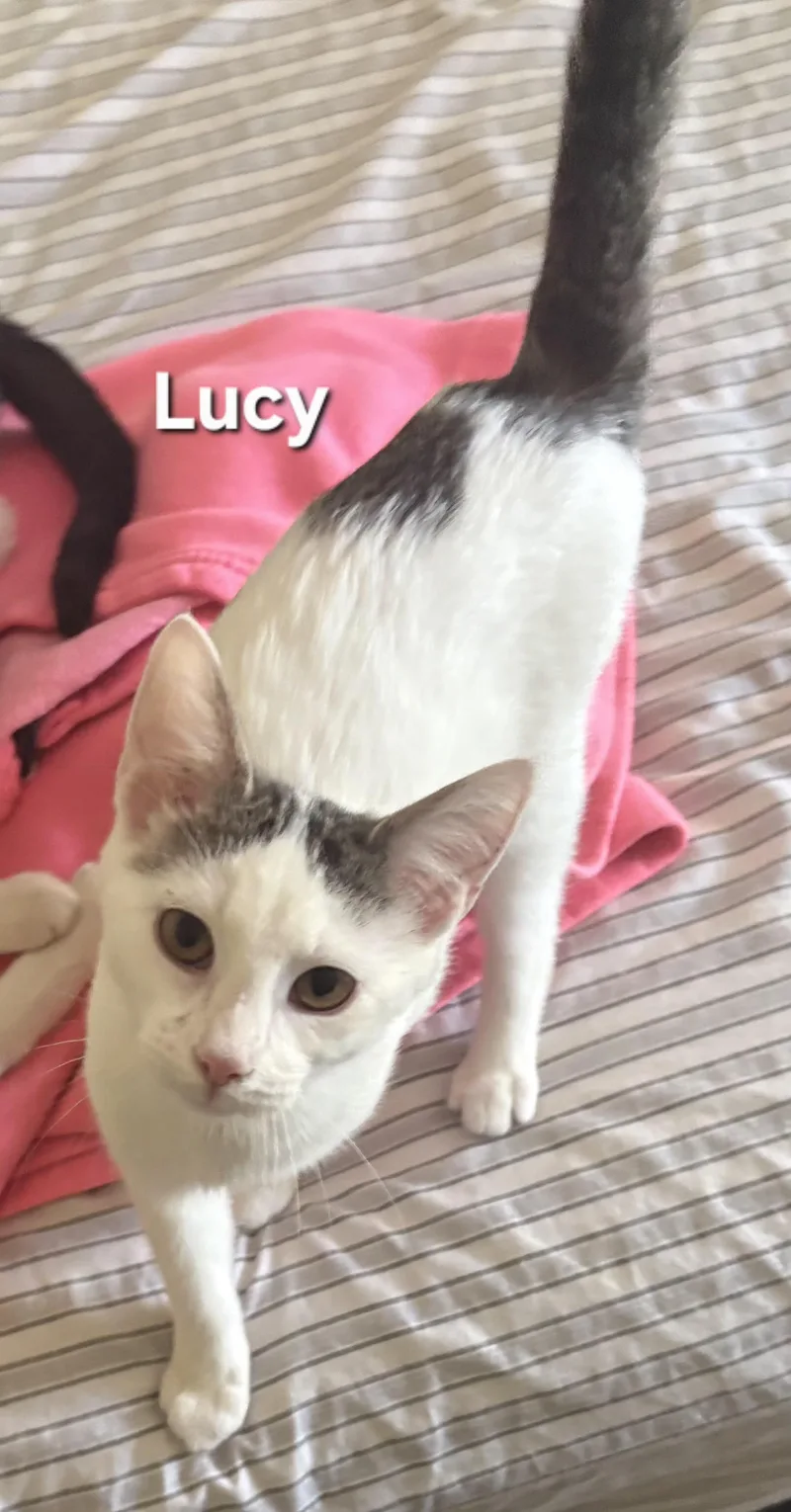 Lucy thumbnail 2