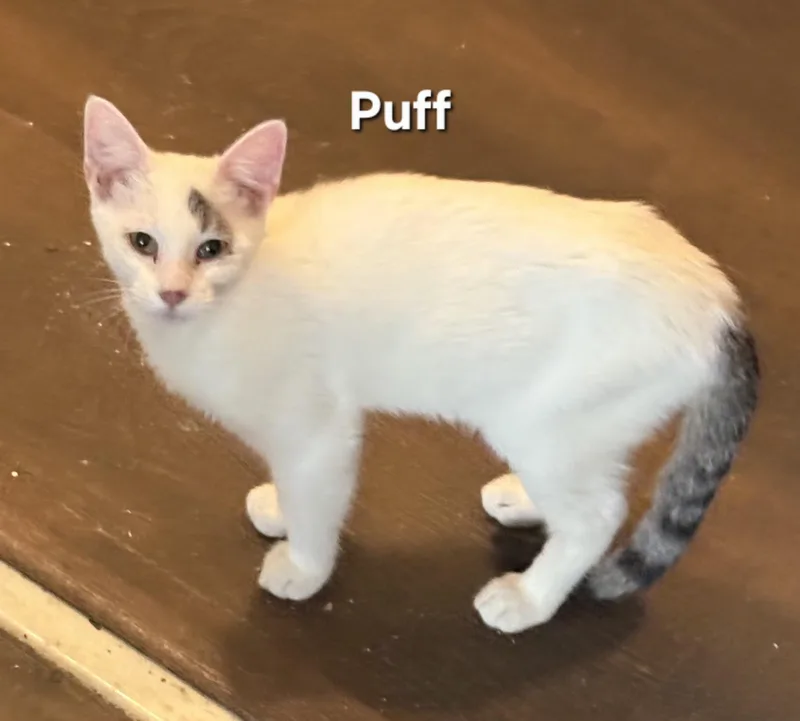 Lucy thumbnail 3