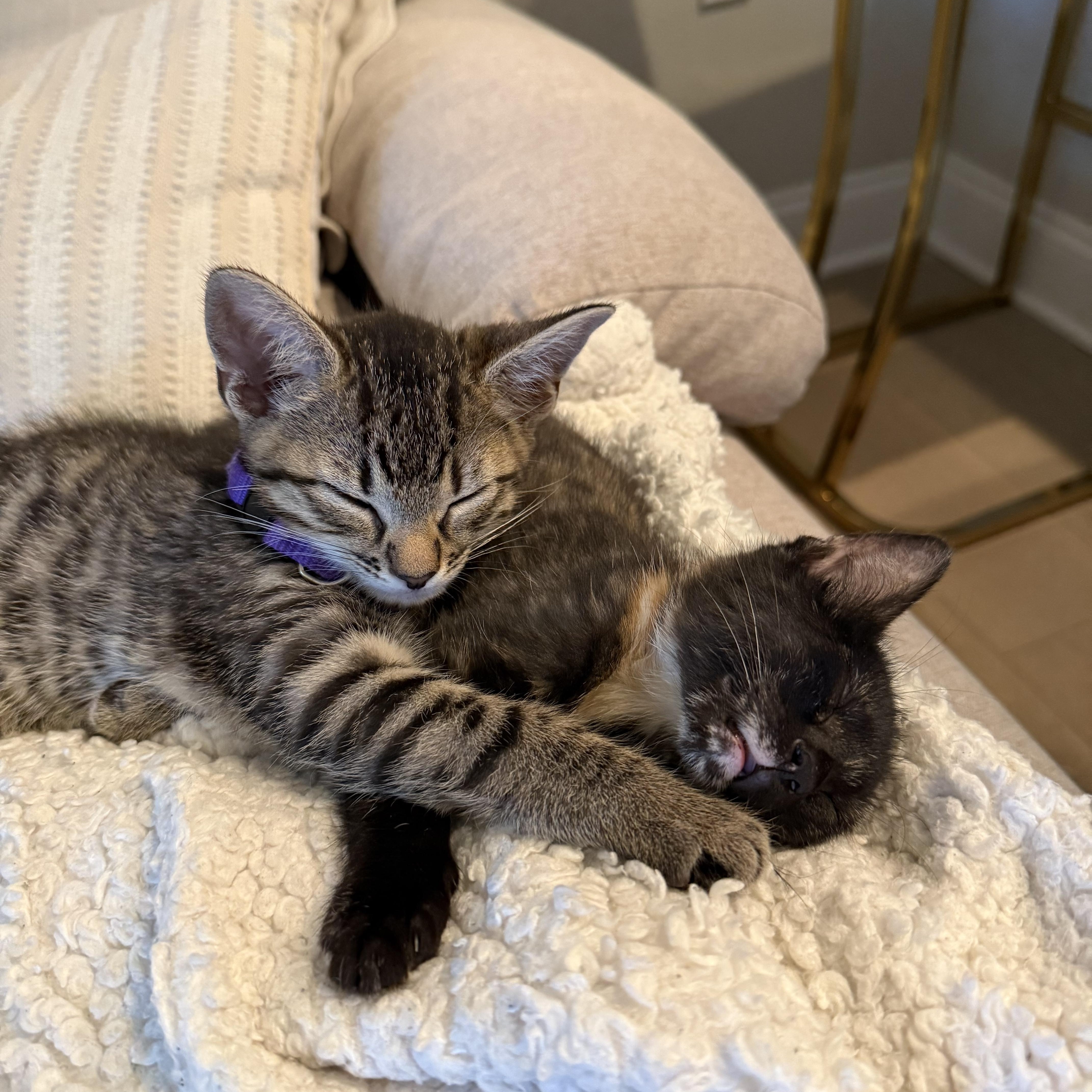 Crumbled Black Crayon thumbnail 3