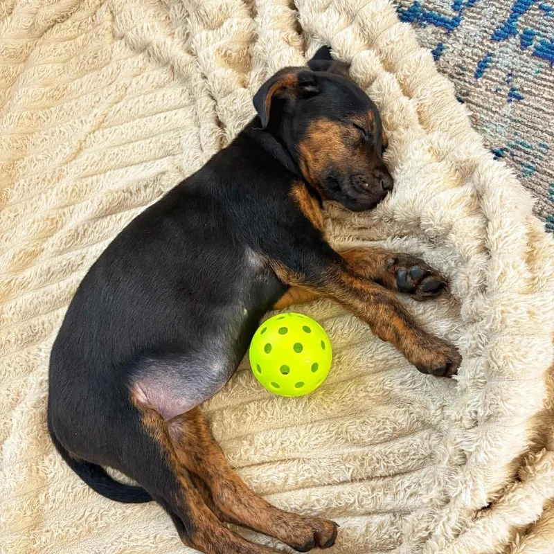 Izzie Stevens thumbnail 2