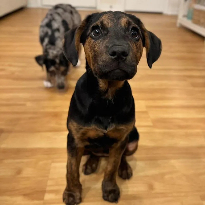 Izzie Stevens thumbnail 3