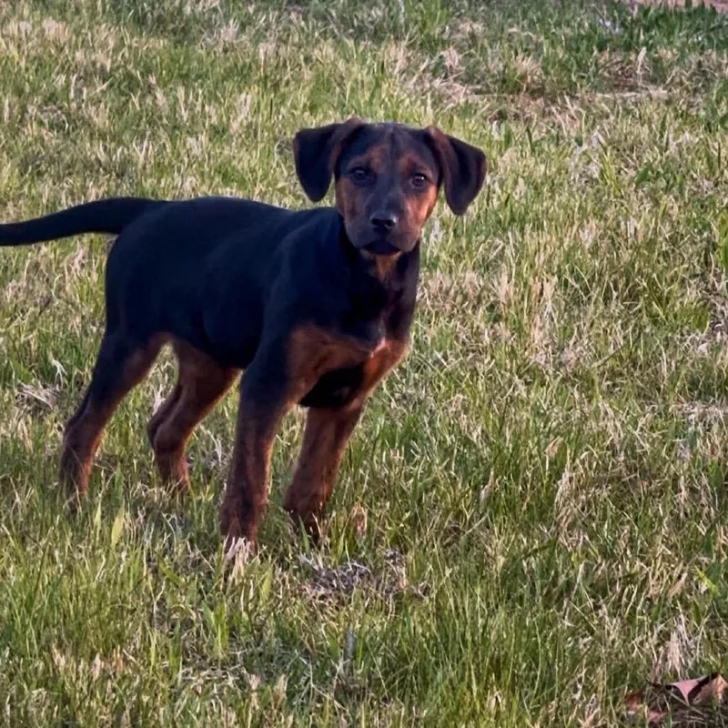 Izzie Stevens thumbnail 4