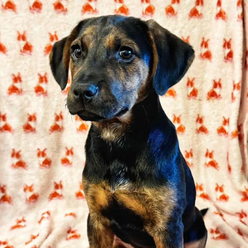 Izzie Stevens thumbnail 6