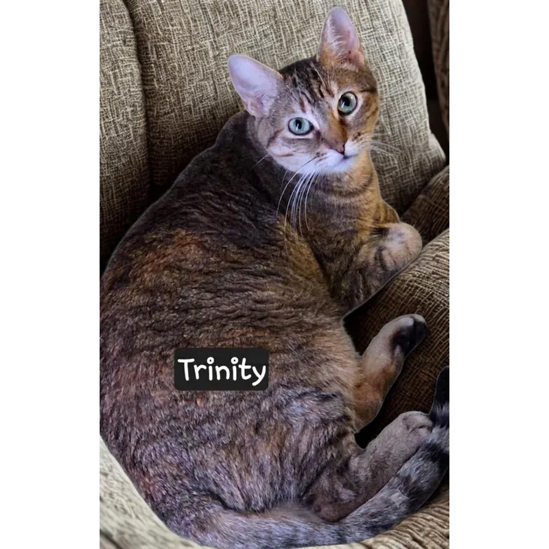 Bonded Pair Tahlia & thumbnail 2