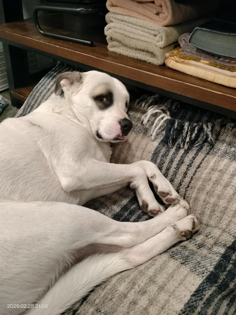 Stewey "boy" thumbnail 2