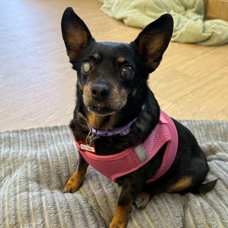 Mix Tape thumbnail 2