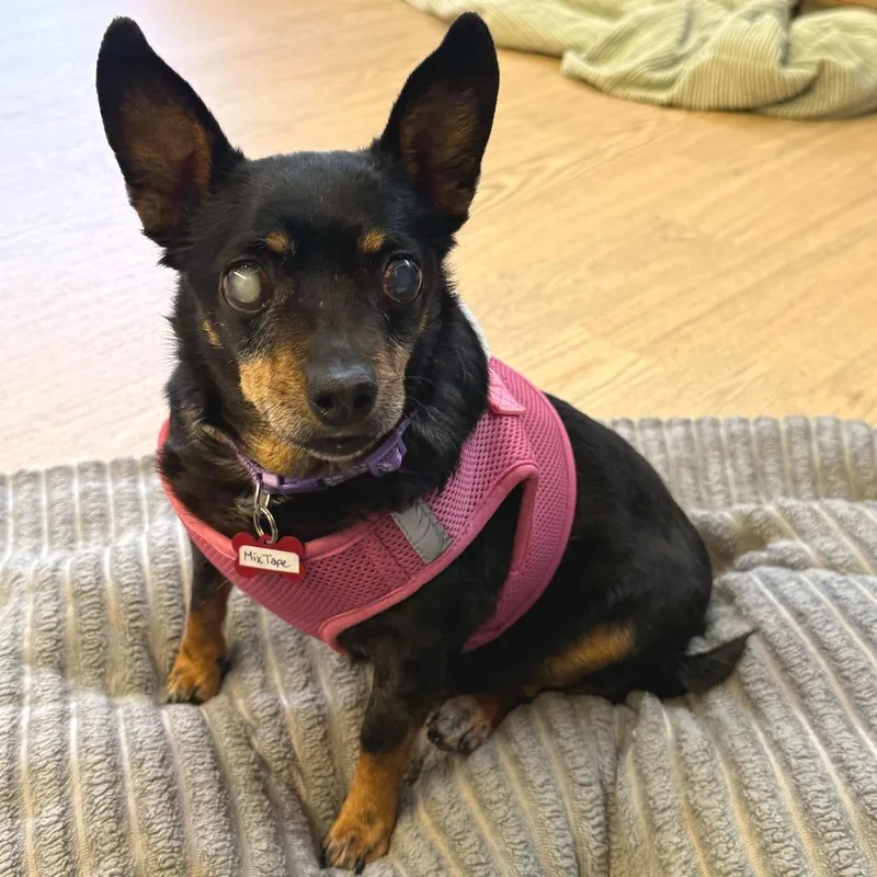 Mix Tape thumbnail 3