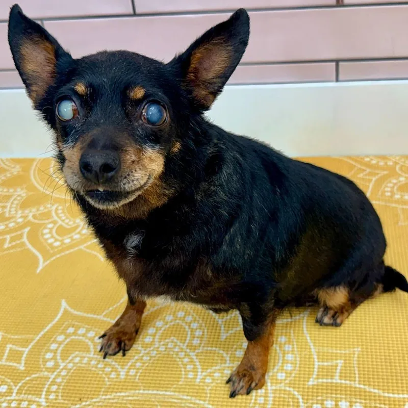 Mix Tape thumbnail 4