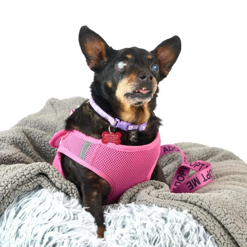 Mix Tape thumbnail 5