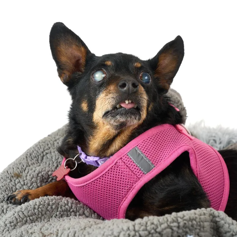 Mix Tape thumbnail 6