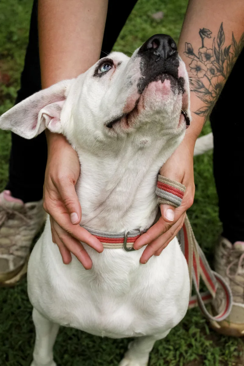 Maybelle thumbnail 4