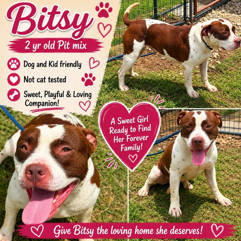 Bitsy