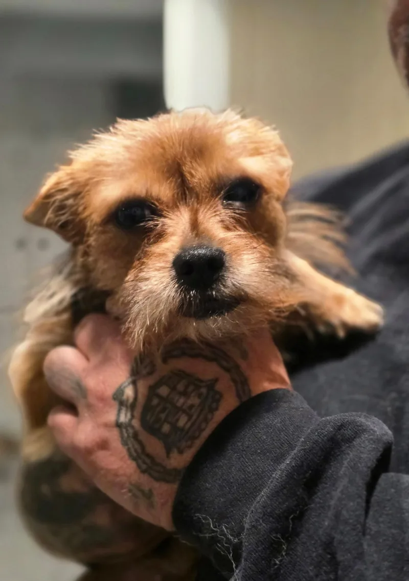 Tiny Tina thumbnail 2