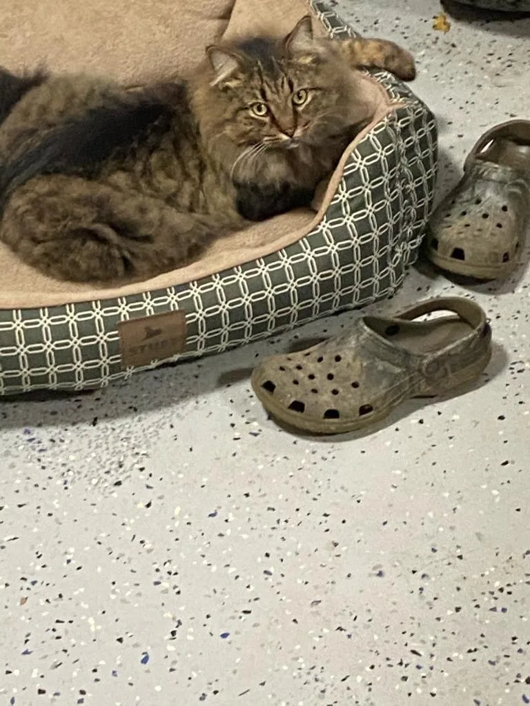 Sassy Boy thumbnail 2